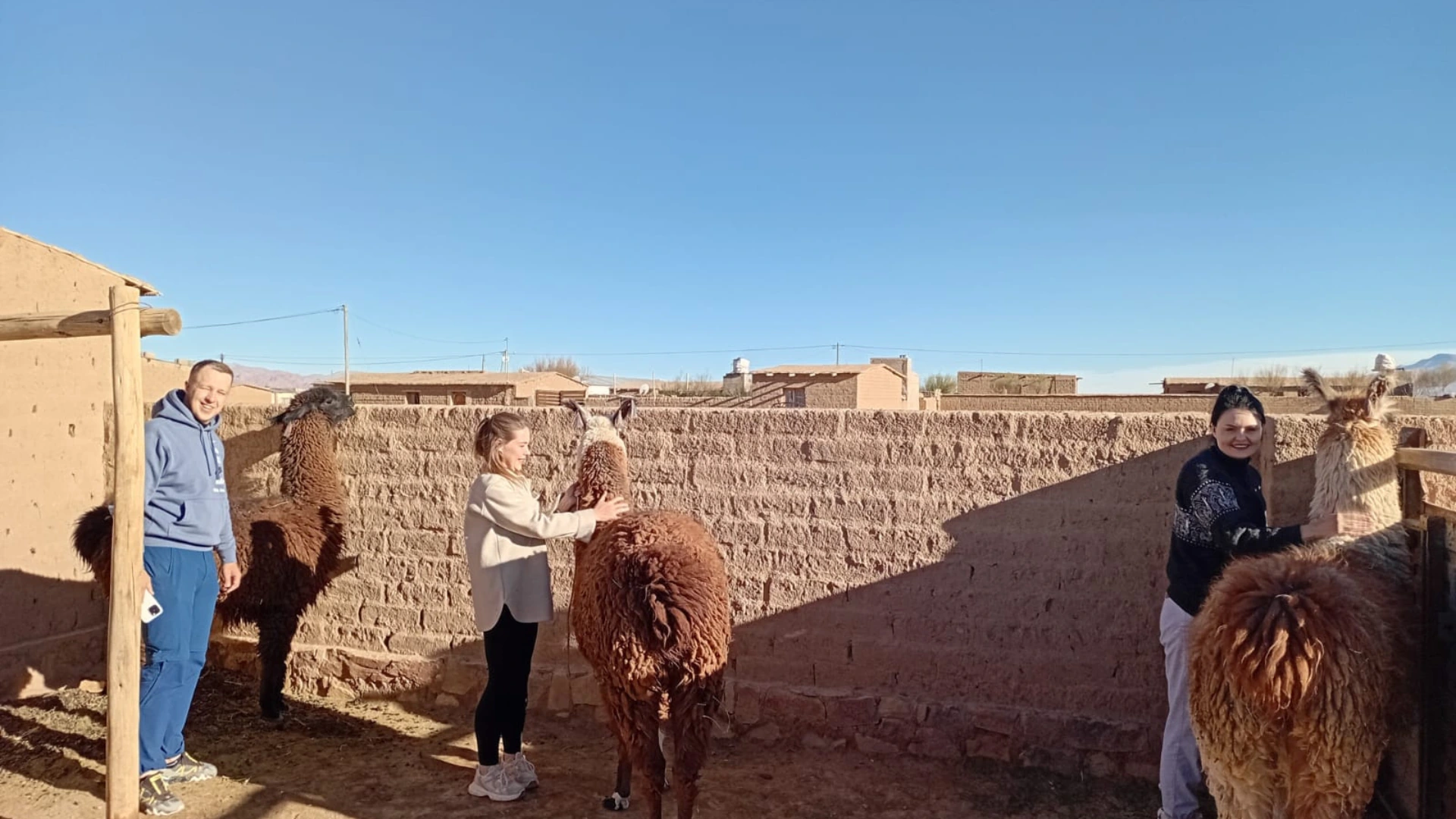 Corral tradicional de llamas
